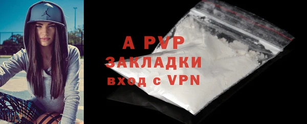 трава Тавда