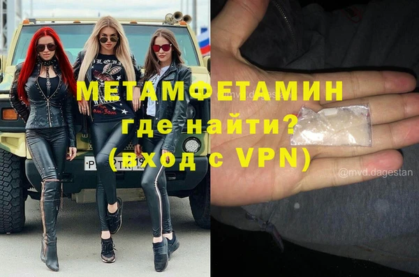 трава Тавда