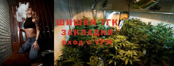 трава Тавда