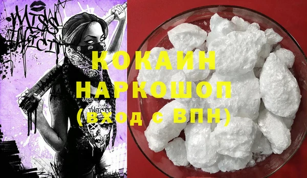 трава Тавда