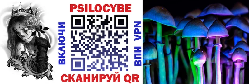 Псилоцибиновые грибы прущие грибы  Цоци-Юрт 